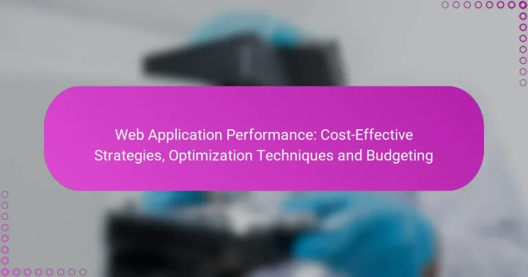 Web Application Performance: Cost-Effective Strategies, Optimization Techniques and Budgeting