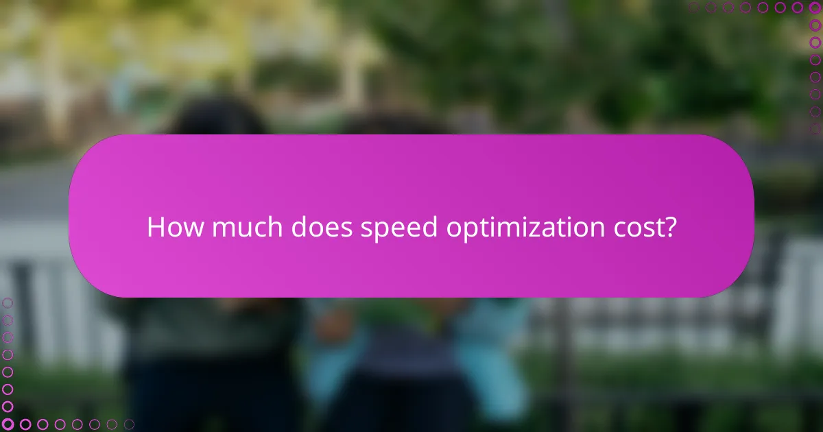 How much does speed optimization cost?