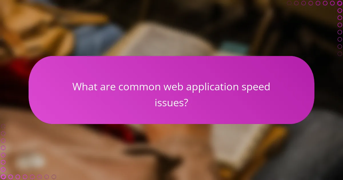 What are common web application speed issues?