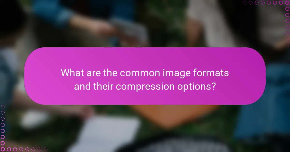 What are the common image formats and their compression options?