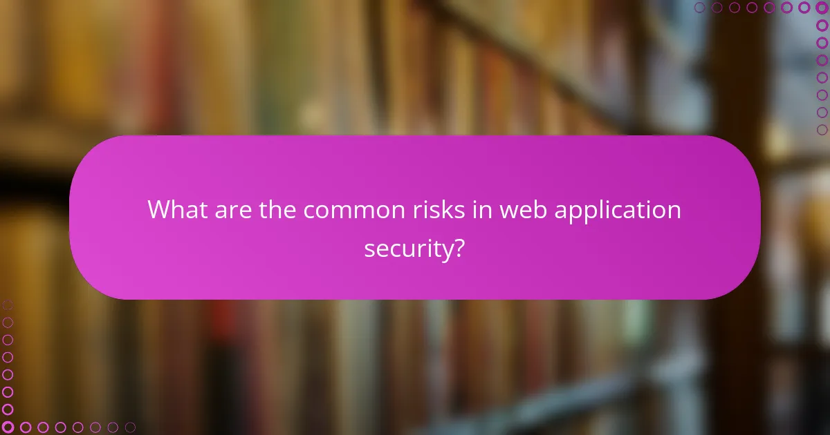 What are the common risks in web application security?