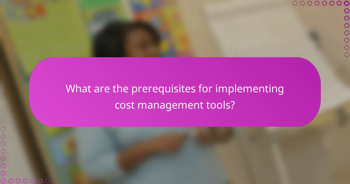 What are the prerequisites for implementing cost management tools?